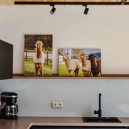 Seebauer Holiday home *